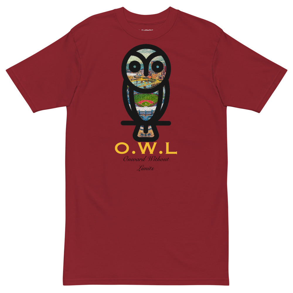 Pittsburgh Owl